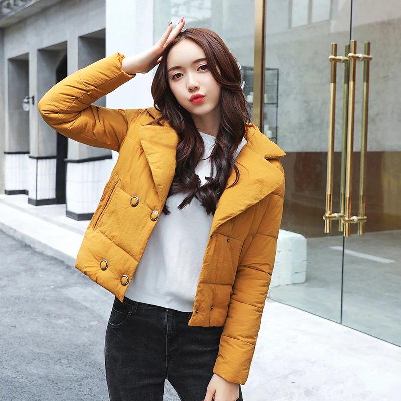 Cheap wholesale 2018 new autumn winter selling women's fashion casual warm jacket female bisic coats Y74
Cheap wholesale 2018 new autumn winter selling women's fashion casual warm jacket female bisic coats Y74