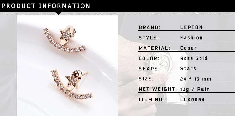 Earrings for Women Detals (1)