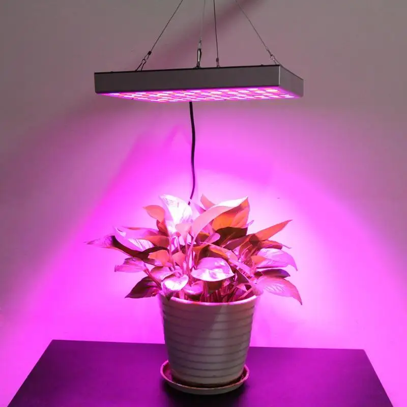 25W/45W Full Spectrum LED Growing Light Plant Growth Panel Lamp for Indoor Led lights Greenhouse Tent Hydroponics EU Plug
25W/45W Full Spectrum LED Growing Light Plant Growth Panel Lamp for Indoor Led lights Greenhouse Tent Hydroponics EU Plug