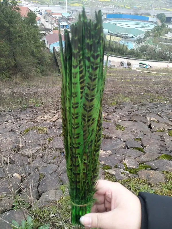 0E1A30BAADBFE1E9D03CDF41E0C632BE -