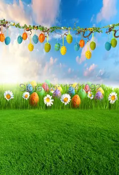 1.5X2.2M vinyl photography backdrop newborn easter scenic computer print thin background for photo studio Customize F-072
1.5X2.2M vinyl photography backdrop newborn easter scenic computer print thin background for photo studio Customize F-072