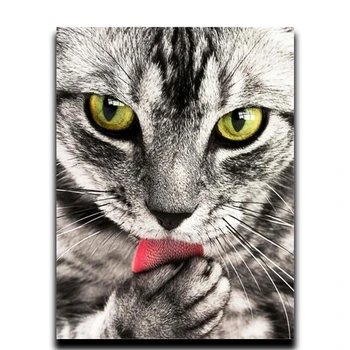 Diamond Embroidery Animal Cat Painting Diamond Cross Stitch Full Square Resin Particle Mosaics 5D Diamond Diy Drawing
Diamond Embroidery Animal Cat Painting Diamond Cross Stitch Full Square Resin Particle Mosaics 5D Diamond Diy Drawing