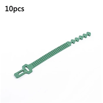 10pcs 240mm Reusable Gardening Tree Tie Belt Vine Climbing Plants Fixed Buckle Bracket Cable Tie Tree Trunk Plastic Bandage
10pcs 240mm Reusable Gardening Tree Tie Belt Vine Climbing Plants Fixed Buckle Bracket Cable Tie Tree Trunk Plastic Bandage