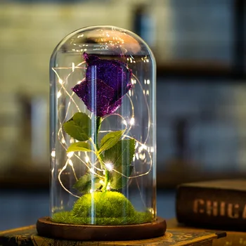 Valentine's Day Love Gifts Beauty Artificial Rose Flower USB Glowing Immortal Rose in Glass Bottle for Home Desktop Decoration
Valentine's Day Love Gifts Beauty Artificial Rose Flower USB Glowing Immortal Rose in Glass Bottle for Home Desktop Decoration