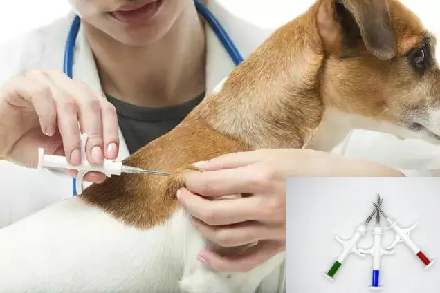 Readell 40pcs/Lot FREE SHIPPING RFID Microchip syringe with transponder 2.12x12mm FDX-B free ICAR number glass chip
Readell 40pcs/Lot FREE SHIPPING RFID Microchip syringe with transponder 2.12x12mm FDX-B free ICAR number glass chip