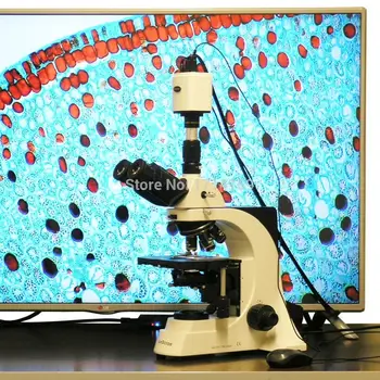 Blood Analysis -AmScope Supplies 40X-1500X Plan Infinity Laboratory Trinocular Compound Microscope & 1920x1080 HDMI Camera
Blood Analysis -AmScope Supplies 40X-1500X Plan Infinity Laboratory Trinocular Compound Microscope & 1920x1080 HDMI Camera