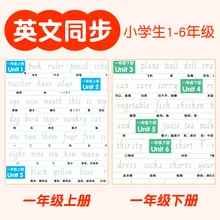 2pcs/set 2019 Textbook Synchronization English Copybook For School Groove english Exercise Beginners Grades 1-6 copybook
2pcs/set 2019 Textbook Synchronization English Copybook For School Groove english Exercise Beginners Grades 1-6 copybook