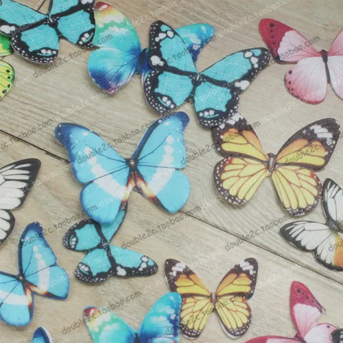 edible butterfly 7_
