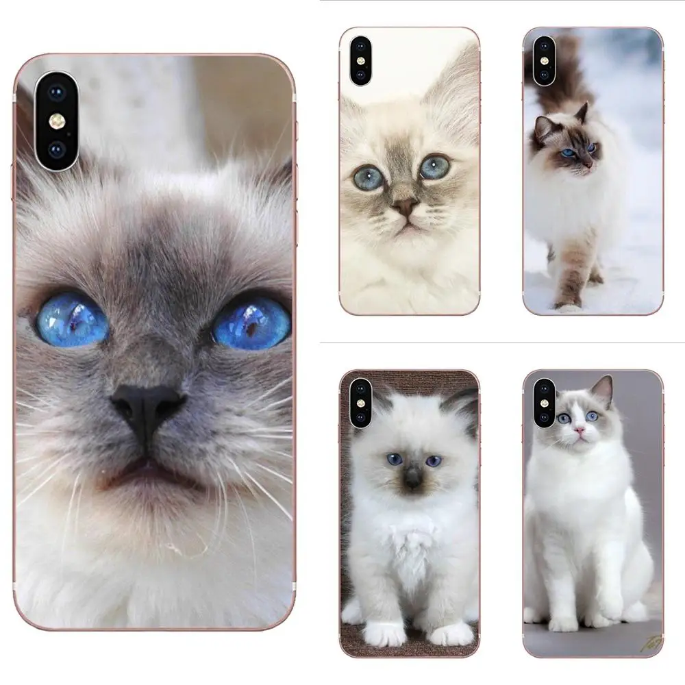 For Huawei Honor 4C 5A 5C 5X 6 6A 6X 7 7A 7C 7X 8 8C 8S 9 10 10i 20 20i Lite Pro Back Phone Case Lovely Ragdoll Kitten Cat Pet
For Huawei Honor 4C 5A 5C 5X 6 6A 6X 7 7A 7C 7X 8 8C 8S 9 10 10i 20 20i Lite Pro Back Phone Case Lovely Ragdoll Kitten Cat Pet