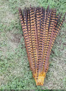 free delivery! 50pcs18-20 inch / 45-50cm high quality yellow pheasant feathers, stage feathers decoration
free delivery! 50pcs18-20 inch / 45-50cm high quality yellow pheasant feathers, stage feathers decoration