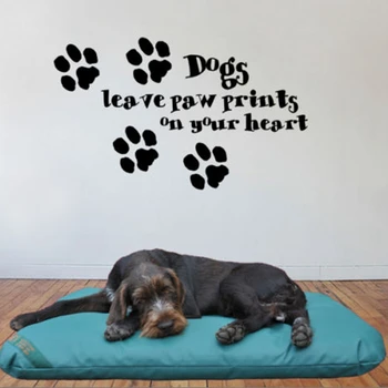 Dogs leave paw print on your heart Decorative Wall Art Mural Decal Sticker,cute dog sayings quote
Dogs leave paw print on your heart Decorative Wall Art Mural Decal Sticker,cute dog sayings quote