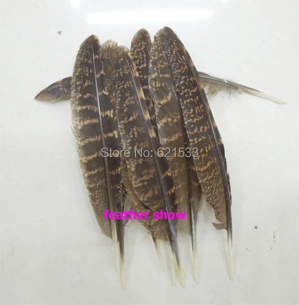 Brand New!30Pcs/lot! 6-8inches 15-20cm long Natural Pheasant Quills,Loose Pheasant Wing Feathers,high quality
Brand New!30Pcs/lot! 6-8inches 15-20cm long Natural Pheasant Quills,Loose Pheasant Wing Feathers,high quality