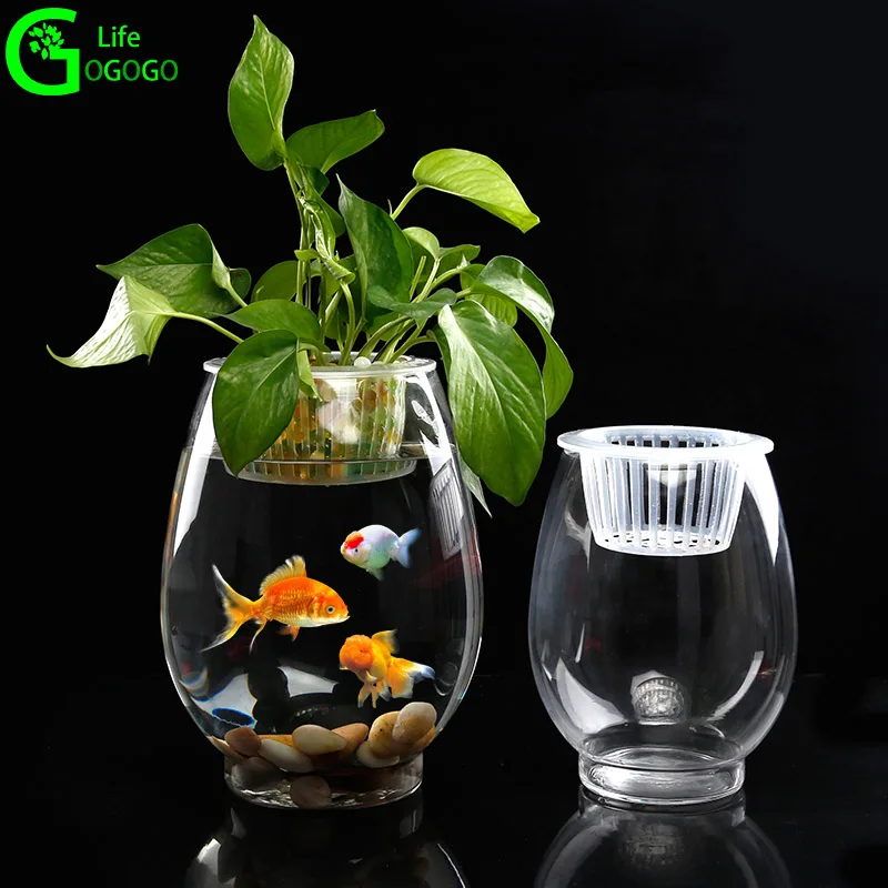 1 pcs Glass Spindle shape Vase Hydroponic Fish Tank Tabletop Plant Bonsai Decor Flower Vase Landscape Pot Home Deco 
1 pcs Glass Spindle shape Vase Hydroponic Fish Tank Tabletop Plant Bonsai Decor Flower Vase Landscape Pot Home Deco