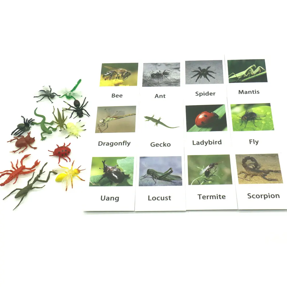 Match Up Insect Animal Memory Game Preschool Educational Toys For Children Floor Puzzle Picture Recognition Game YF2664H
Match Up Insect Animal Memory Game Preschool Educational Toys For Children Floor Puzzle Picture Recognition Game YF2664H