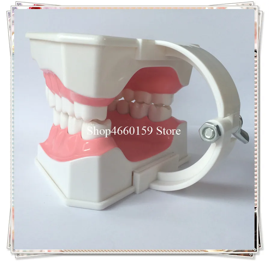 teeth brushing model-4