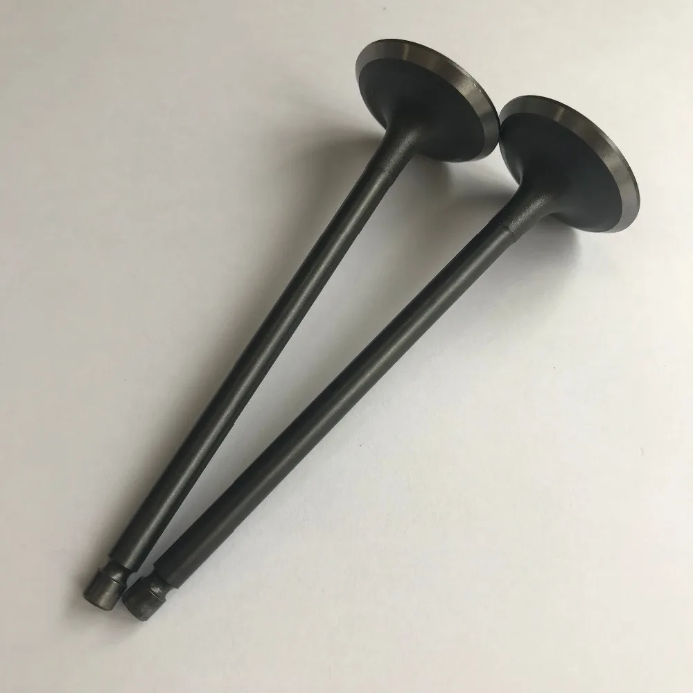 16PCS Intake Exhaust Valve kit For 97-99 Subaru Forester Impreza Legacy 2.5L DOHC EJ25D 
16PCS Intake Exhaust Valve kit For 97-99 Subaru Forester Impreza Legacy 2.5L DOHC EJ25D