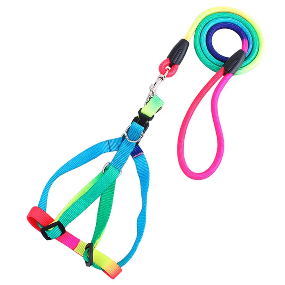 1Pcs Cute Rainbow Colorful Pet Training Weave Nylon Harness Traction Belt Round Dog Leashes Lead Neck/Chest Rope High Quality
1Pcs Cute Rainbow Colorful Pet Training Weave Nylon Harness Traction Belt Round Dog Leashes Lead Neck/Chest Rope High Quality