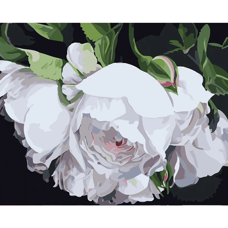 Painting By Number DIY Dropshipping 40x50 50x65cm a ball of White roses Flower Canvas Room Decoration Art picture Present
Painting By Number DIY Dropshipping 40x50 50x65cm a ball of White roses Flower Canvas Room Decoration Art picture Present
