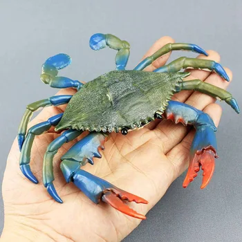 1Pcs PVC Simulation Red Blue Crab Toy Realistic Sea Animal Model Kids Toy Beach Bar Wall Decor
1Pcs PVC Simulation Red Blue Crab Toy Realistic Sea Animal Model Kids Toy Beach Bar Wall Decor
