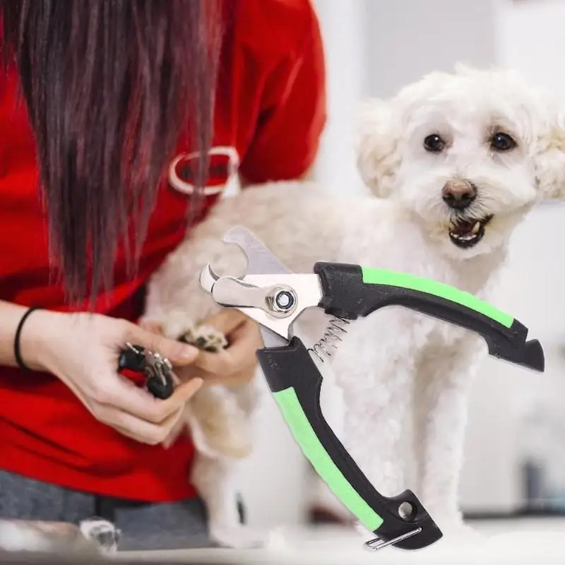 Stainless Steel Pet Nail Clipper For Dog And Cat With Nail File For Beauty Grooming Tool Of Pet 9 Stainless Steel Pet Nail Clipper For Dog And Cat With Nail File For Beauty Grooming Tool Of Pet 14