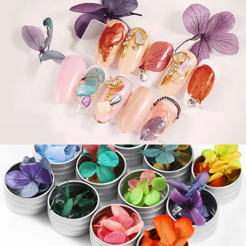 

Dried Flowers Leaf Nail Decoration Natural Floral Sticker 3D Manicure Dry Bloom Tips Real Preserved Flower Natural Nail Tools