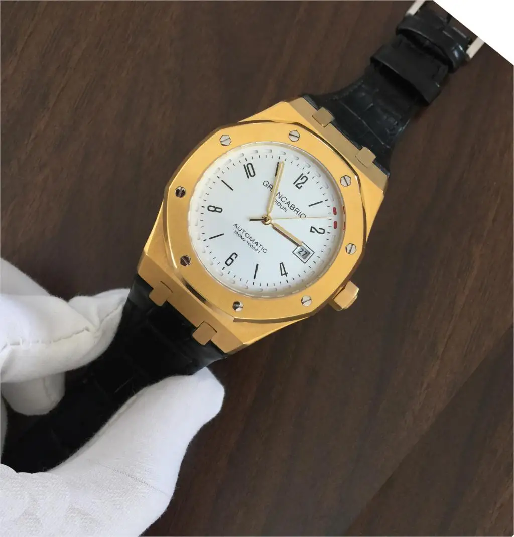 DIDUN watch men Japan movement Mechanical automatic watch top brand luxury watch fashion sport Wristwatches 30 meters waterproof
DIDUN watch men Japan movement Mechanical automatic watch top brand luxury watch fashion sport Wristwatches 30 meters waterproof