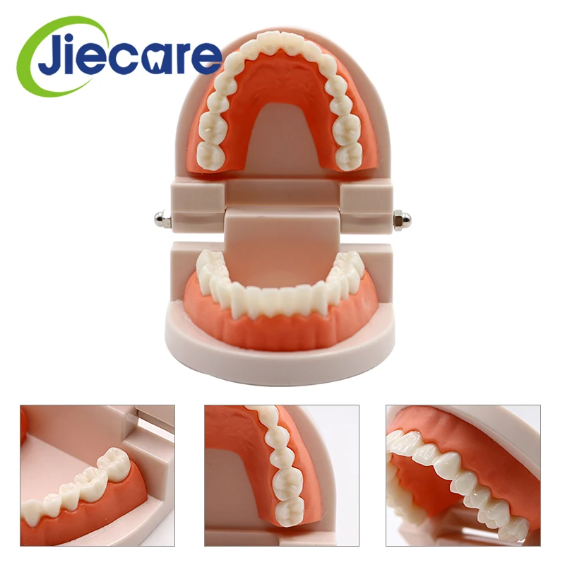 1 PC Dental Standard 28-Teeth Teeth Model Oral Care Tooth Cleaning for Dental Teaching&Practice Simulation Free Shipping
1 PC Dental Standard 28-Teeth Teeth Model Oral Care Tooth Cleaning for Dental Teaching&Practice Simulation Free Shipping