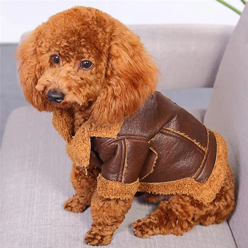 Imixlot Punk Style Leather Pet Clothes Winter Waterproof PU Leather Jacket Four-legged Padded Flannel Clothing Pet Product
Imixlot Punk Style Leather Pet Clothes Winter Waterproof PU Leather Jacket Four-legged Padded Flannel Clothing Pet Product
