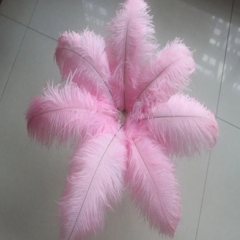 Wholesale 10pcs beautiful High Quality 20-25cm/ 8-10 inch pink natural ostrich feathers DIY Wedding Decorations
Wholesale 10pcs beautiful High Quality 20-25cm/ 8-10 inch pink natural ostrich feathers DIY Wedding Decorations