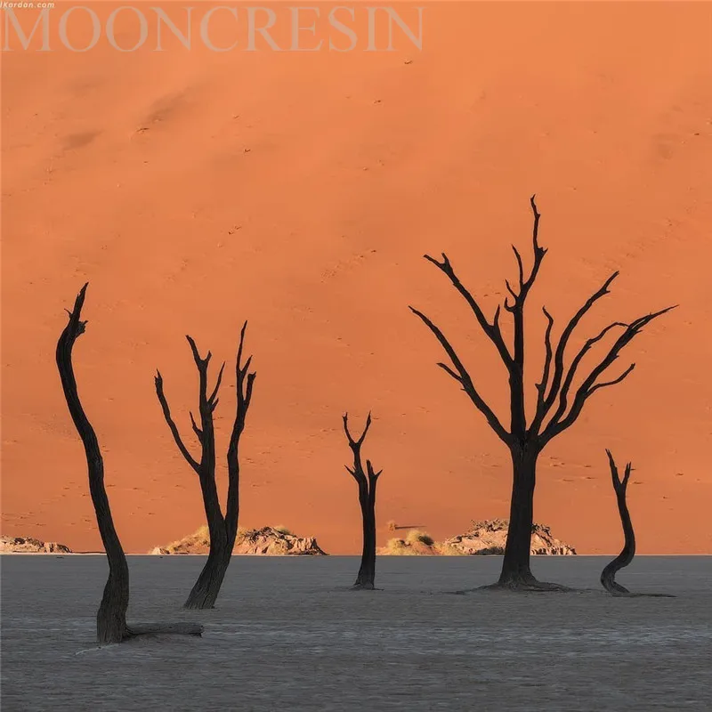 5D Diy Diamond Painting Cross Stitch Dead Tree On The Desert Diamond Embroidery Full Round Mosaic Decoration Resin Stickers Kits
5D Diy Diamond Painting Cross Stitch Dead Tree On The Desert Diamond Embroidery Full Round Mosaic Decoration Resin Stickers Kits