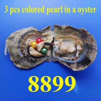 5 PCS oysters each oyster with 3 pearls totally 15 pearls TRIPLICATE mixed colored round pearls in 1 oyster vacuum pack
5 PCS oysters each oyster with 3 pearls totally 15 pearls TRIPLICATE mixed colored round pearls in 1 oyster vacuum pack