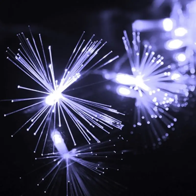 220V EU Plug 10M 100 LED Fiber Optic String Light Twinkle Light for Christmas and Wedding Party Decoration
220V EU Plug 10M 100 LED Fiber Optic String Light Twinkle Light for Christmas and Wedding Party Decoration