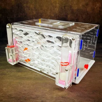 2018 New Double Water Towers DIY Assembling With Feeding Area Ant Nest Acrylic Ant Farm Insect Villa Blue Ant Castle City D2
2018 New Double Water Towers DIY Assembling With Feeding Area Ant Nest Acrylic Ant Farm Insect Villa Blue Ant Castle City D2