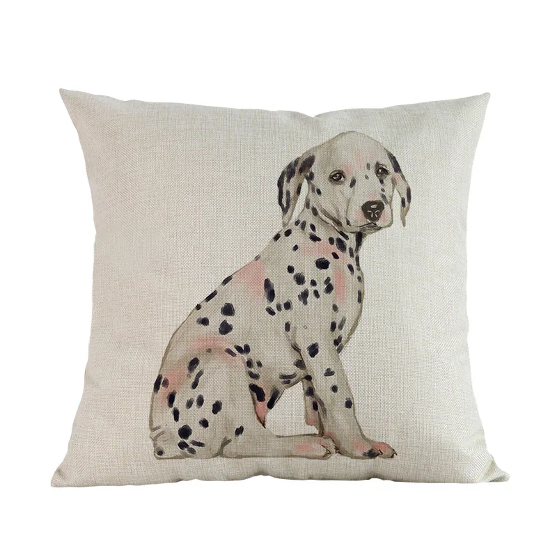 dalmatian
