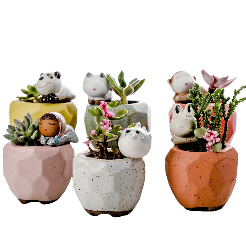 6 Type Ceramic animal flower pot for Cactus succulent Plant Pot Flower bonsai Pots Container Planter garden decoration
6 Type Ceramic animal flower pot for Cactus succulent Plant Pot Flower bonsai Pots Container Planter garden decoration