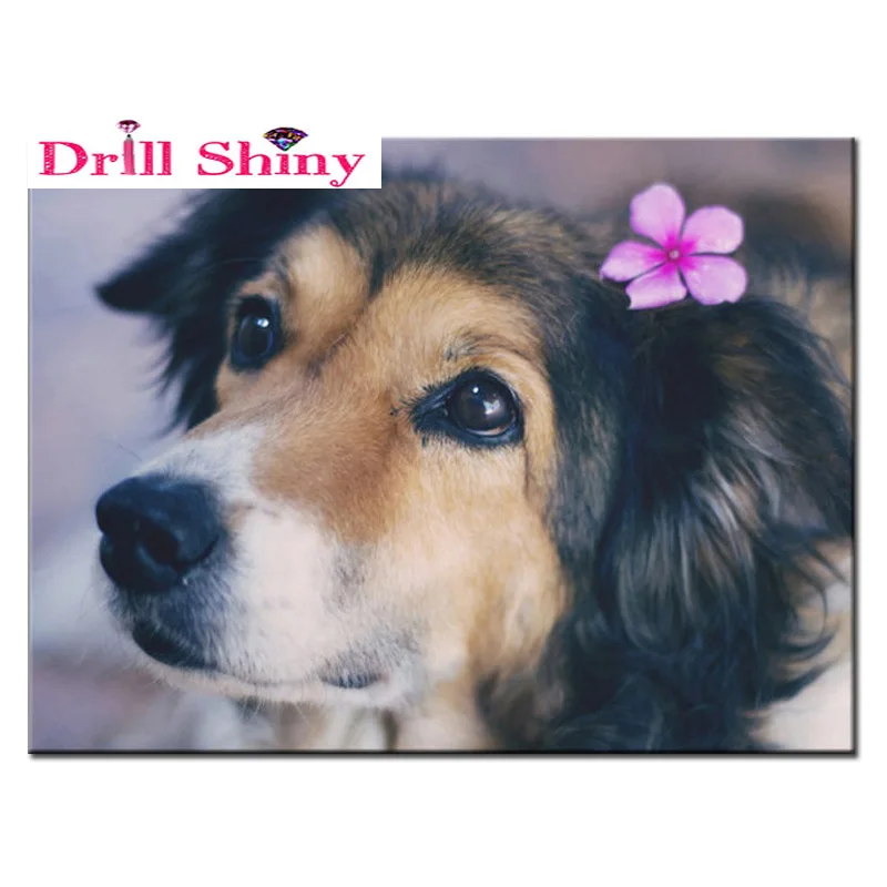 3D home decor diamond embroidery mosaic animal square rhinestone DIY diamond painting cross stitch dog icon handcraft gift
3D home decor diamond embroidery mosaic animal square rhinestone DIY diamond painting cross stitch dog icon handcraft gift