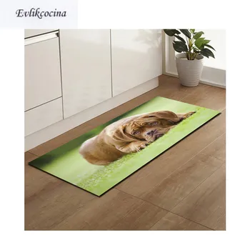 Free Shipping Tummy Dog Water Absorption Badkamer Bath Mat Door Floor Tapete Banheiro Carpet For Toliet Non Slip Alfombra Bano
Free Shipping Tummy Dog Water Absorption Badkamer Bath Mat Door Floor Tapete Banheiro Carpet For Toliet Non Slip Alfombra Bano