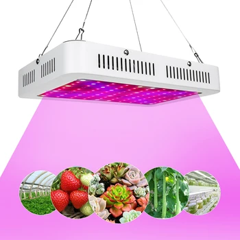 1000W 1200W Full Spectrum LED Grow Light Phyto Lamp 100 120 LEDs Red/Blue/UV/IR Growing Lamp For Plants Hydroponics System Tent
1000W 1200W Full Spectrum LED Grow Light Phyto Lamp 100 120 LEDs Red/Blue/UV/IR Growing Lamp For Plants Hydroponics System Tent