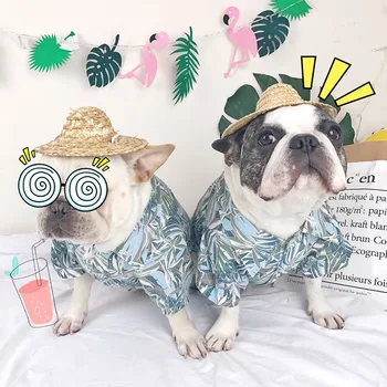 TAILUP Dog Clothes Summer Cat Shirts for Small Medium Dog Pet Puppy Kitten Hawaii Clothing Yorkies Chihuahua Clothes
TAILUP Dog Clothes Summer Cat Shirts for Small Medium Dog Pet Puppy Kitten Hawaii Clothing Yorkies Chihuahua Clothes