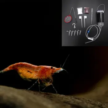 2019 New Aquarium Shrimp Incubator Fairy Shrimp Egg Hatch Tool Kit Fish Tank Equipment Pet Supplies Small suit
2019 New Aquarium Shrimp Incubator Fairy Shrimp Egg Hatch Tool Kit Fish Tank Equipment Pet Supplies Small suit