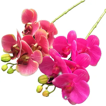 50pcs Real Touch Butterfly Orchid Flower Cymbidium PU 3D Plant Orchids Phalaenopsis Orchids for Artificial Decorative Flowers
50pcs Real Touch Butterfly Orchid Flower Cymbidium PU 3D Plant Orchids Phalaenopsis Orchids for Artificial Decorative Flowers