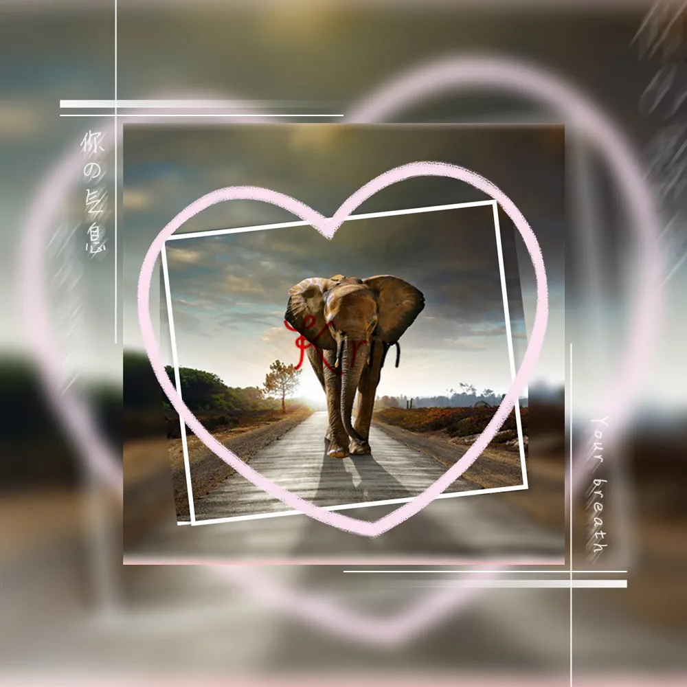 full square drill 5D DIY diamond painting elephant diamond embroidery Cross Stitch Rhinestone mosaic home decoration
full square drill 5D DIY diamond painting elephant diamond embroidery Cross Stitch Rhinestone mosaic home decoration