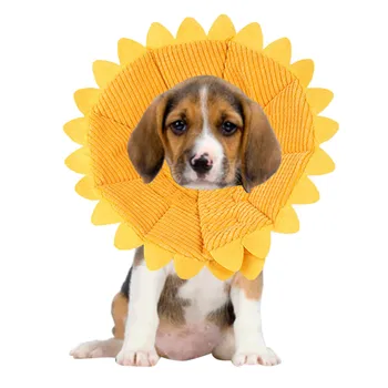Transer Collar Dog Cat Pet Sunflower Dogs Neck Circle Anti-bite Wound Healing Ring Shape 18 Dec24 P45
Transer Collar Dog Cat Pet Sunflower Dogs Neck Circle Anti-bite Wound Healing Ring Shape 18 Dec24 P45