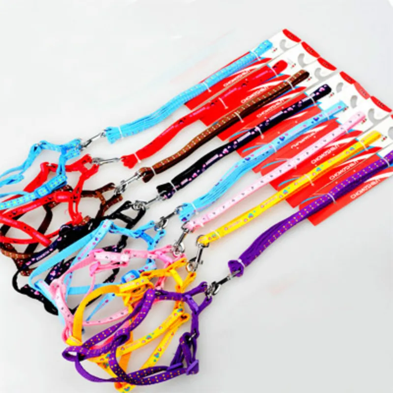 Puppy Pet Dog Cat Nylon Collar Peppy Dog Harness Collar Printed Pet Safety Led Leash Rope Belt Wholesale
Puppy Pet Dog Cat Nylon Collar Peppy Dog Harness Collar Printed Pet Safety Led Leash Rope Belt Wholesale