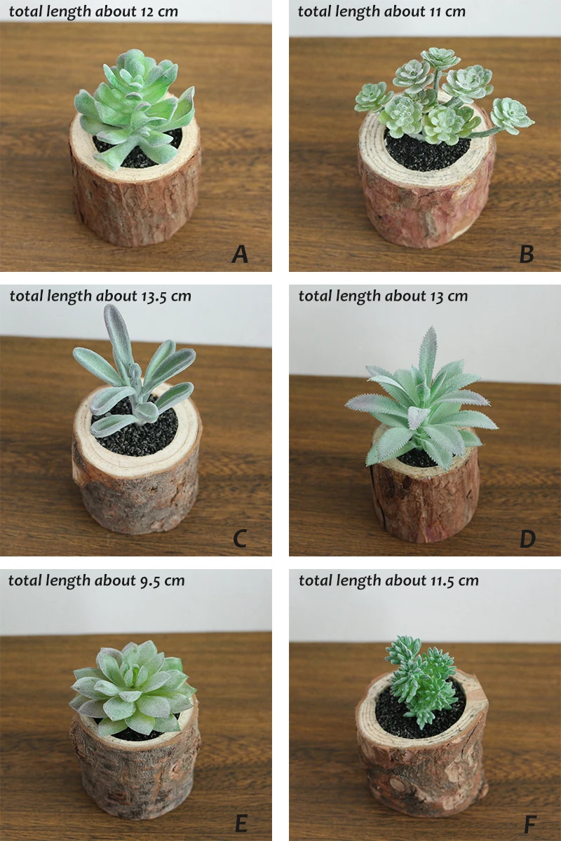 JAROWN Artificial Succulent Plants Potted Set Real Wooden Pile Flowerpot For Home Decoration Office Tabletop Decor (19)