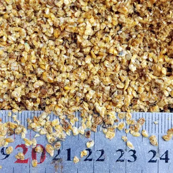 50g daphnia fish food tropical fish goldfish koi lizard turtle feed tropical fish food
50g daphnia fish food tropical fish goldfish koi lizard turtle feed tropical fish food