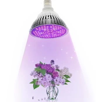 Growing Lamp LED Grow Light Bulbs 50W 80W Indoor Full Spectrum Phyto Lamp For Plants Fitolampy Light For Vegetables and Seedling 
Growing Lamp LED Grow Light Bulbs 50W 80W Indoor Full Spectrum Phyto Lamp For Plants Fitolampy Light For Vegetables and Seedling