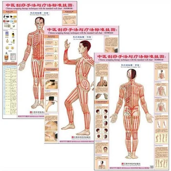 Chinese Scrapping Therapy Techniques with the Standard wall Charts A Set of 3 Pcs (Front Side Back) Gua Sha Wall Charts
Chinese Scrapping Therapy Techniques with the Standard wall Charts A Set of 3 Pcs (Front Side Back) Gua Sha Wall Charts