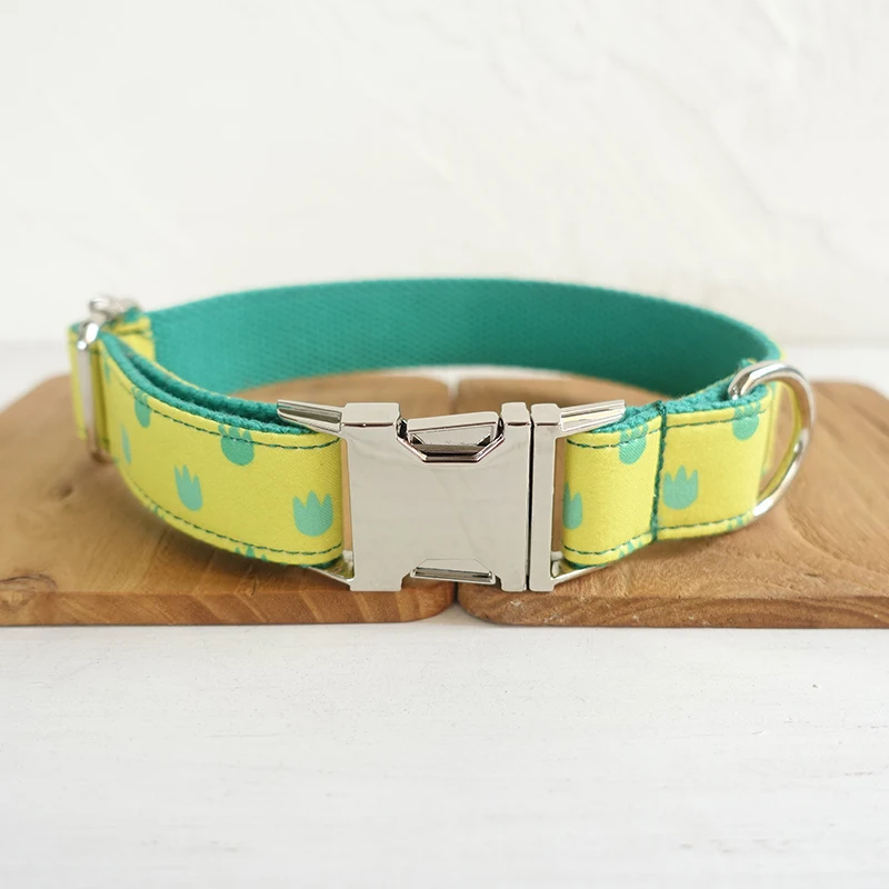 Pet Dog Collars (3)