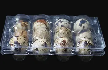 1000pcs/lot 12 Holes Quail Egg Containers Plastic Clear Egg Boxes D28mm/H39mm Package Free Shipping YA1028
1000pcs/lot 12 Holes Quail Egg Containers Plastic Clear Egg Boxes D28mm/H39mm Package Free Shipping YA1028